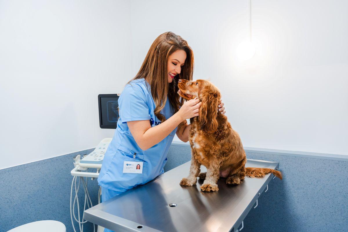 Spitalul Veterinar Transilvania își deschide unitatea multidisciplinară în Iulius Town Timișoara