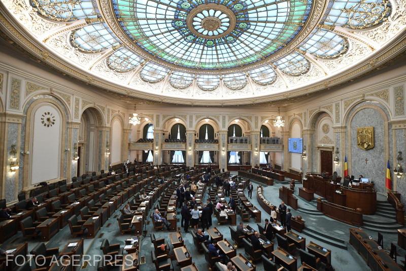 Senatul adoptă lege care permite oricărei persoane să sesizeze poliția pentru vânzarea lucrărilor de diplomă