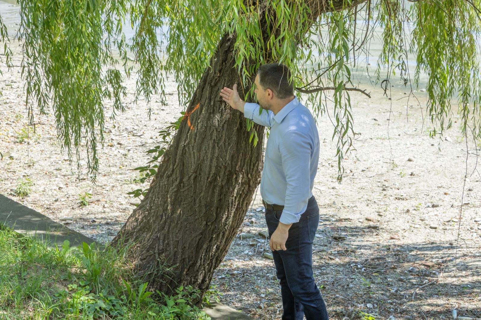 Lucrările de consolidare la Lacul Herăstrău au încetinit pentru a proteja arborii din parc