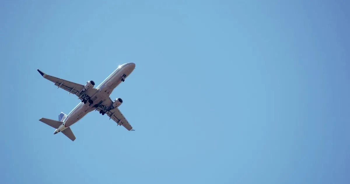 Compania AnimaWings suspendă zborurile și intră în reorganizare judiciară pentru restructurarea datoriilor