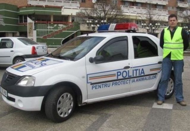 11 câini salvați de polițiștii din Caraș-Severin după ce proprietarul nu i-a mai putut îngriji