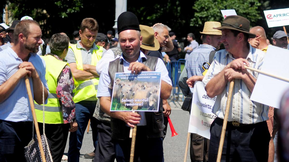 Protest masiv de oieri în fața Guvernului: 200.000 de fermieri se adună în București