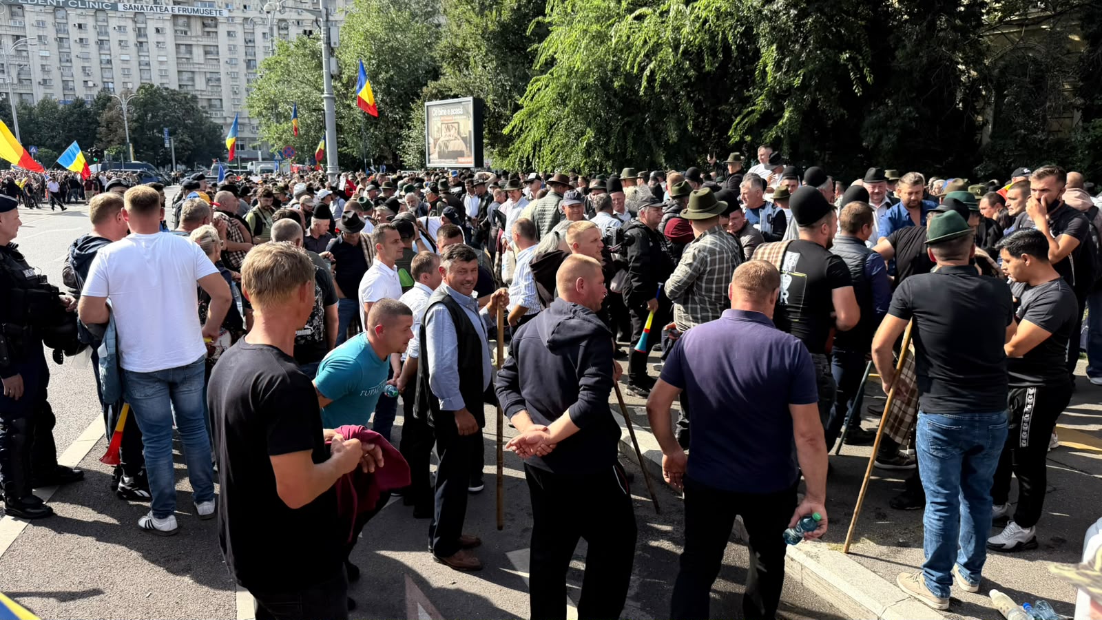 Proteste în fața Guvernului: Ciobanii acuză autoritățile că pun bazinul de afaceri în pericol