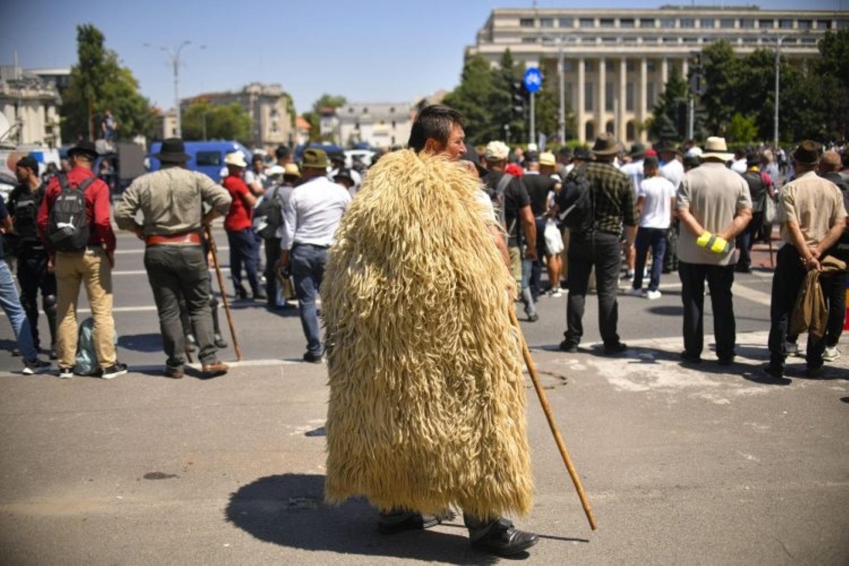 Protest de eveniment în Piața Victoriei: Sute de fermieri și crescători de ovine protestează în fața Guvernului