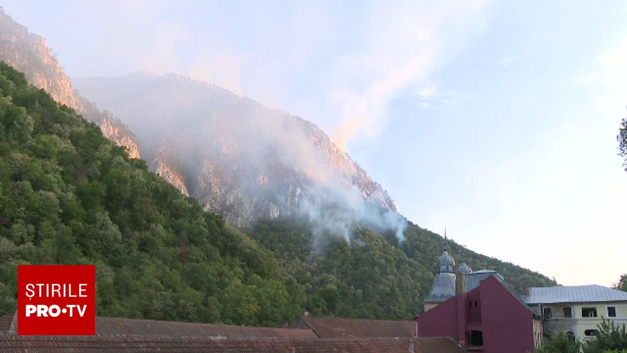 Agent Green solicită investigarea incendiului din Parcul Național Domogled: cere verificarea deciziilor oficiale