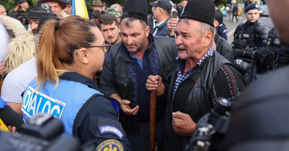 Protest în Piața Victoriei: Ciobanii au depus o listă de revendicări la Guvern