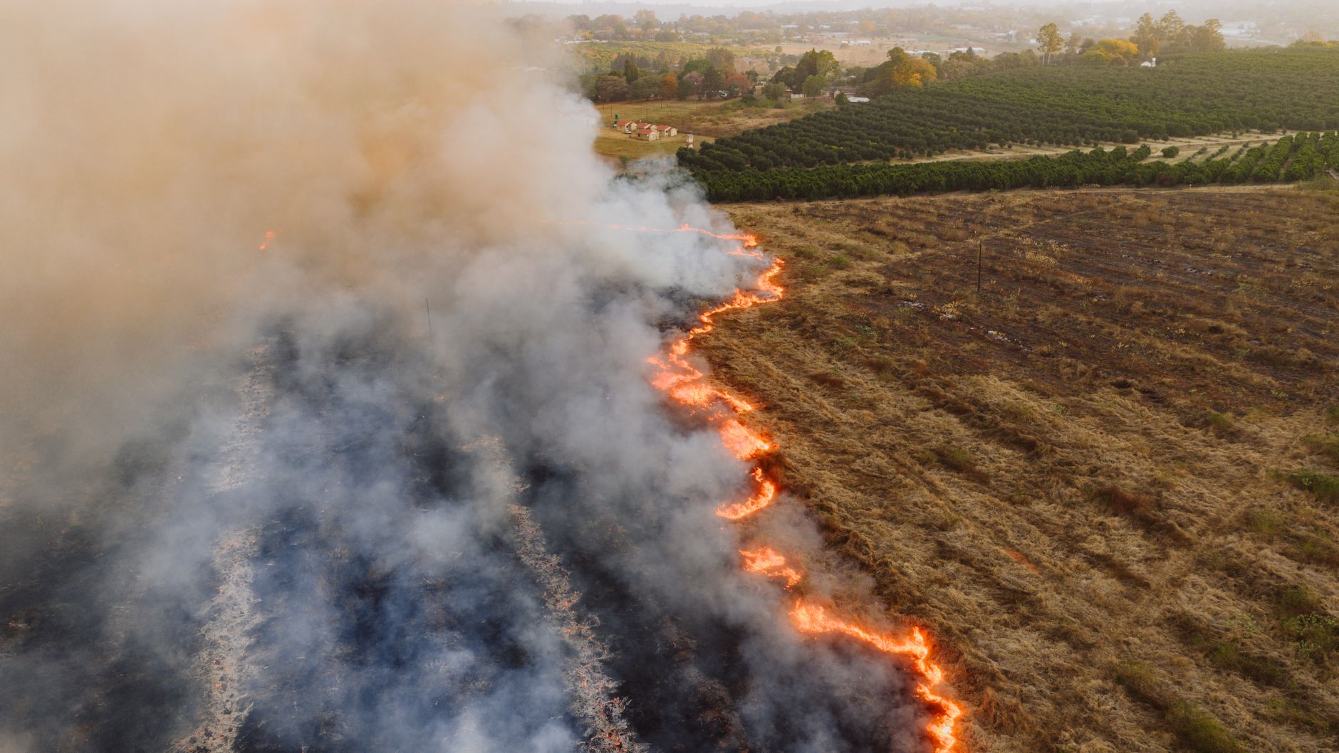 Șapte incendii de vegetație în județul Timiș într-un singur interval de 24 de ore