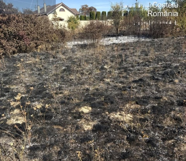 Timpășul a fost afectat de 7 incendii de vegetație în 24 de ore, peste 44 de hectare au ars