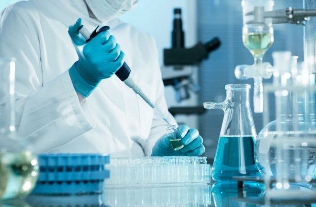 O tulpină de Candidozyma auris rezistentă la patru clase de antifungice a fost identificată în Africa