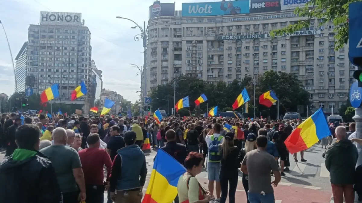 Protest violent în Piața Victoriei: Crescători de ovine în protest împotriva restricțiilor de export