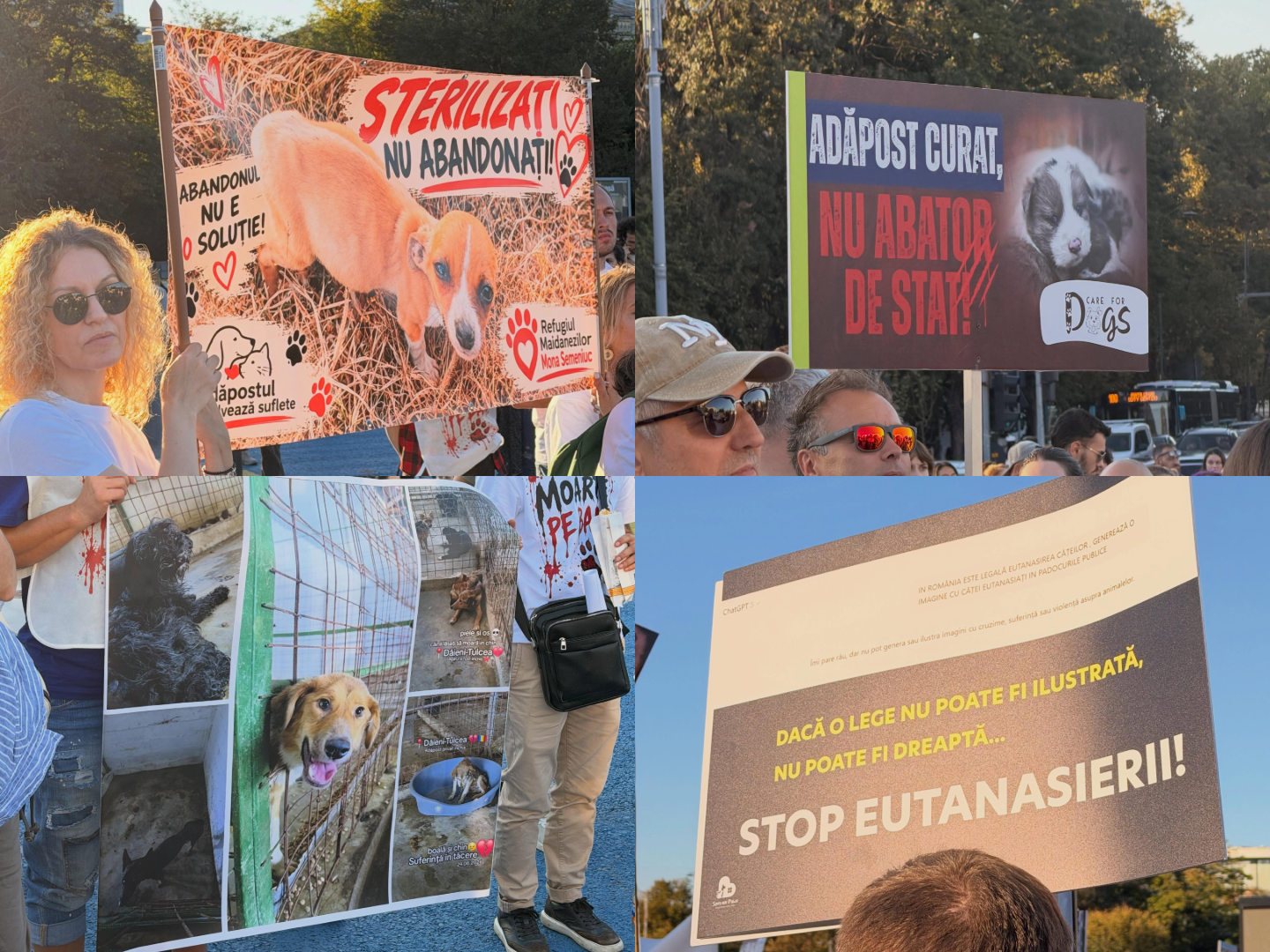 Protest masiv în București pentru drepturile animalelor: peste 70 de ONG-uri cer stop abuzurilor