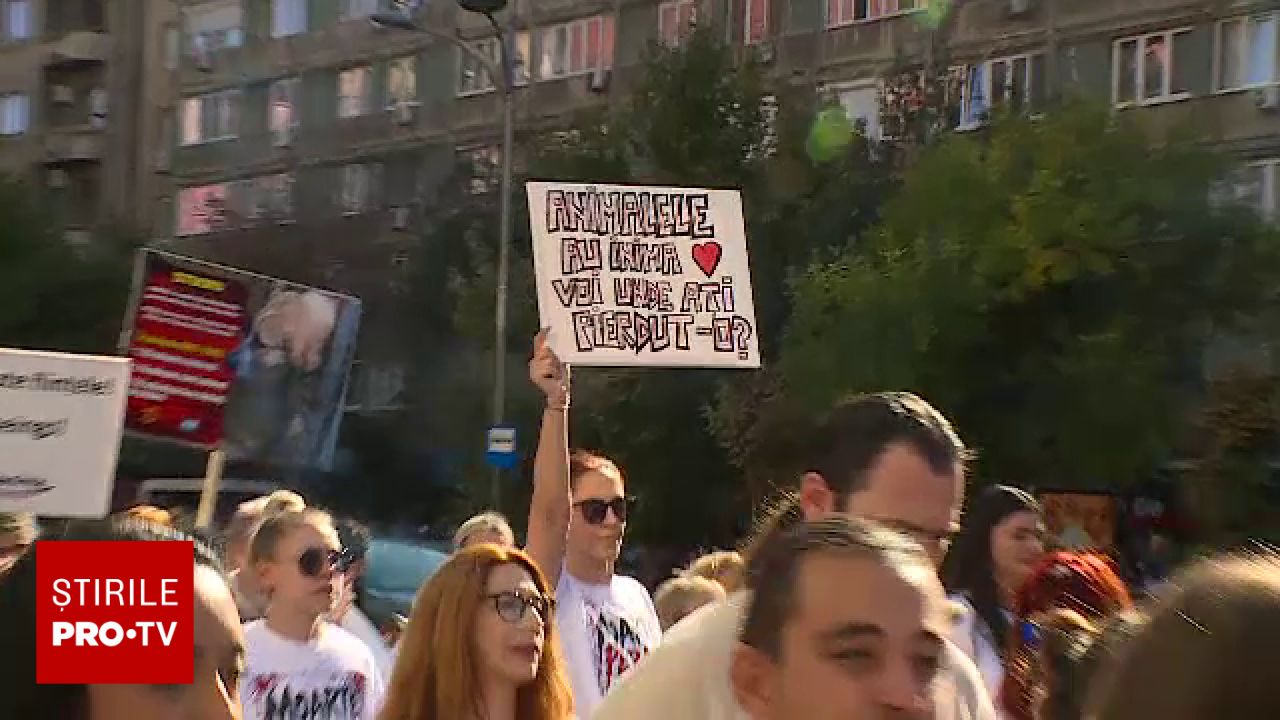 Mii de oameni au protestat în Capitală pentru drepturile animalelor de Ziua Internațională a Animalelor