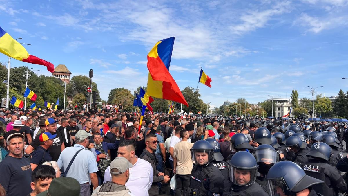 Viorica Dăncilă cere Guvernului soluții pentru fermieri și dezvoltarea exporturilor către China