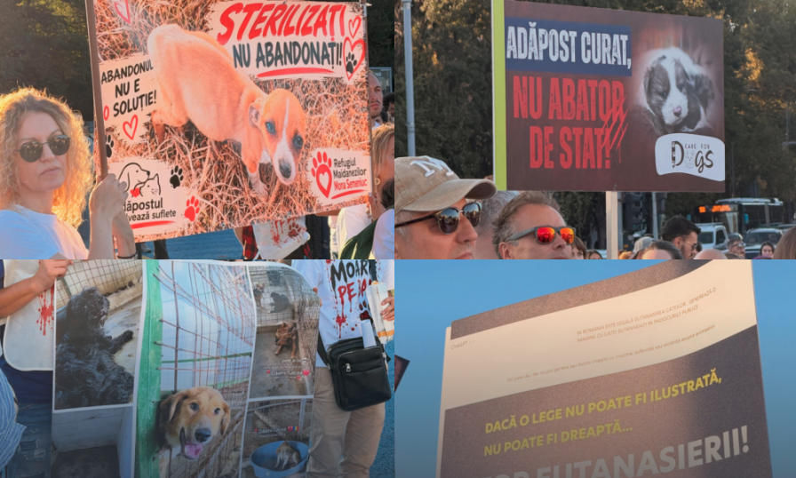 Mii de persoane au protestat la București pentru drepturile animalelor și oprirea abandonului