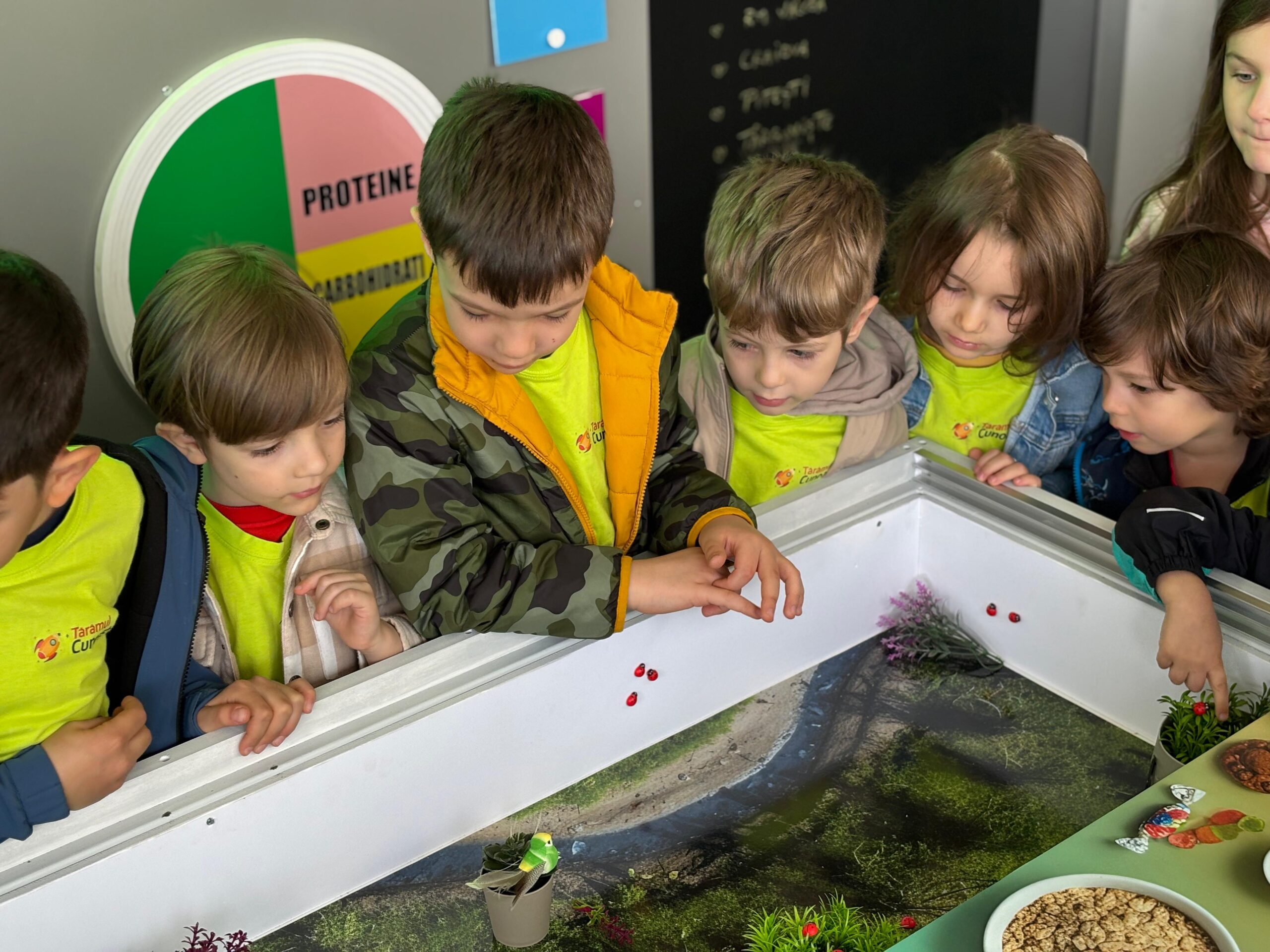 Carmen Brumă este ambasadorul ediției a X-a a Caravanei Akademia Kinderland