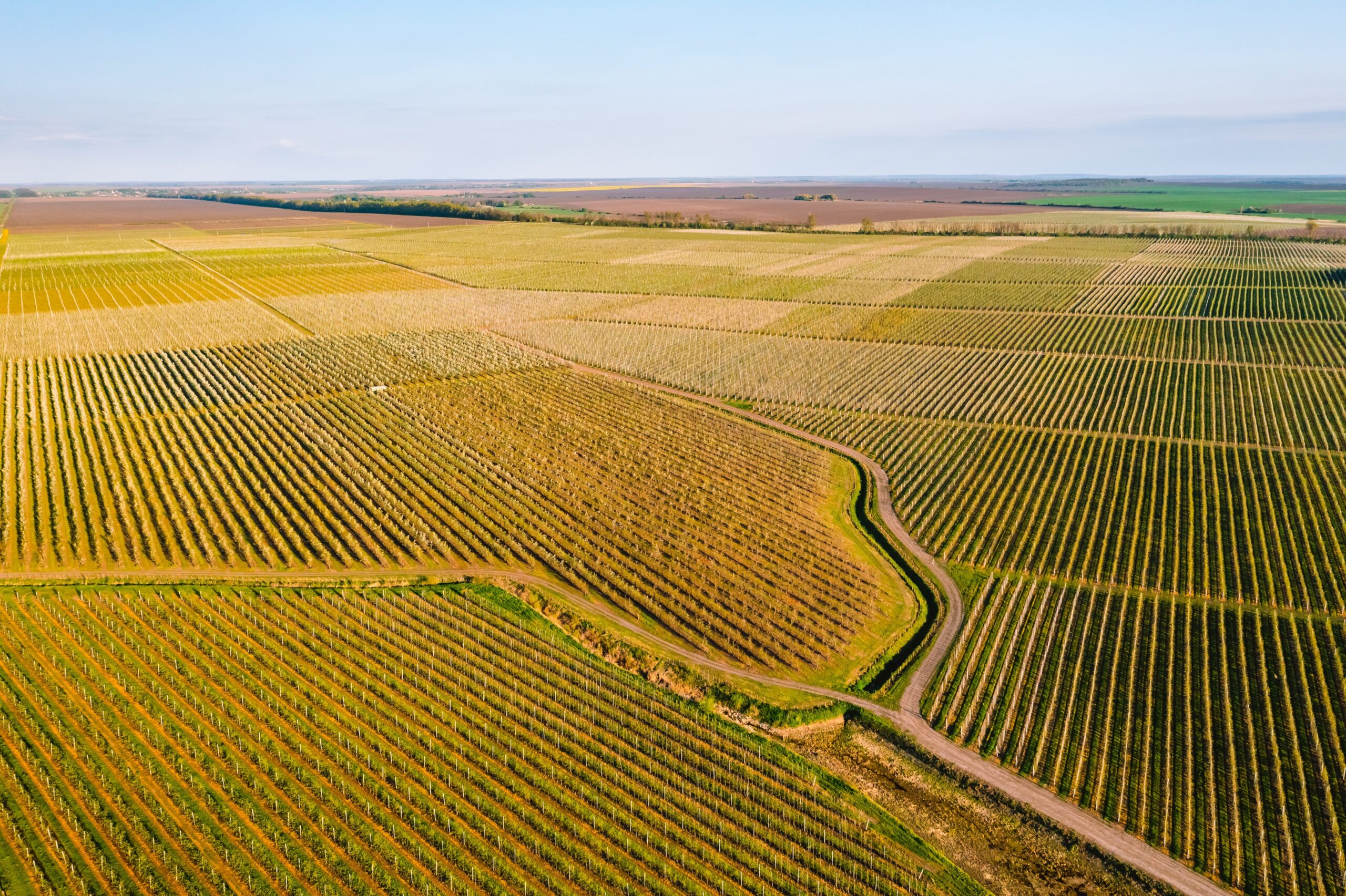 Variații enorme de preț la terenurile agricole din județul Sibiu: de la un ban la peste o mie de lei pe metru pătrat