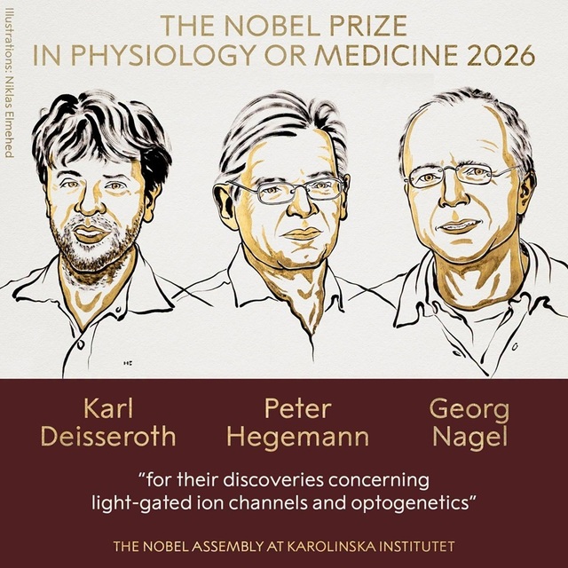 Premiul Nobel pentru Fiziologie sau Medicină 2026 a fost acordat pentru descoperirile în optogenetică