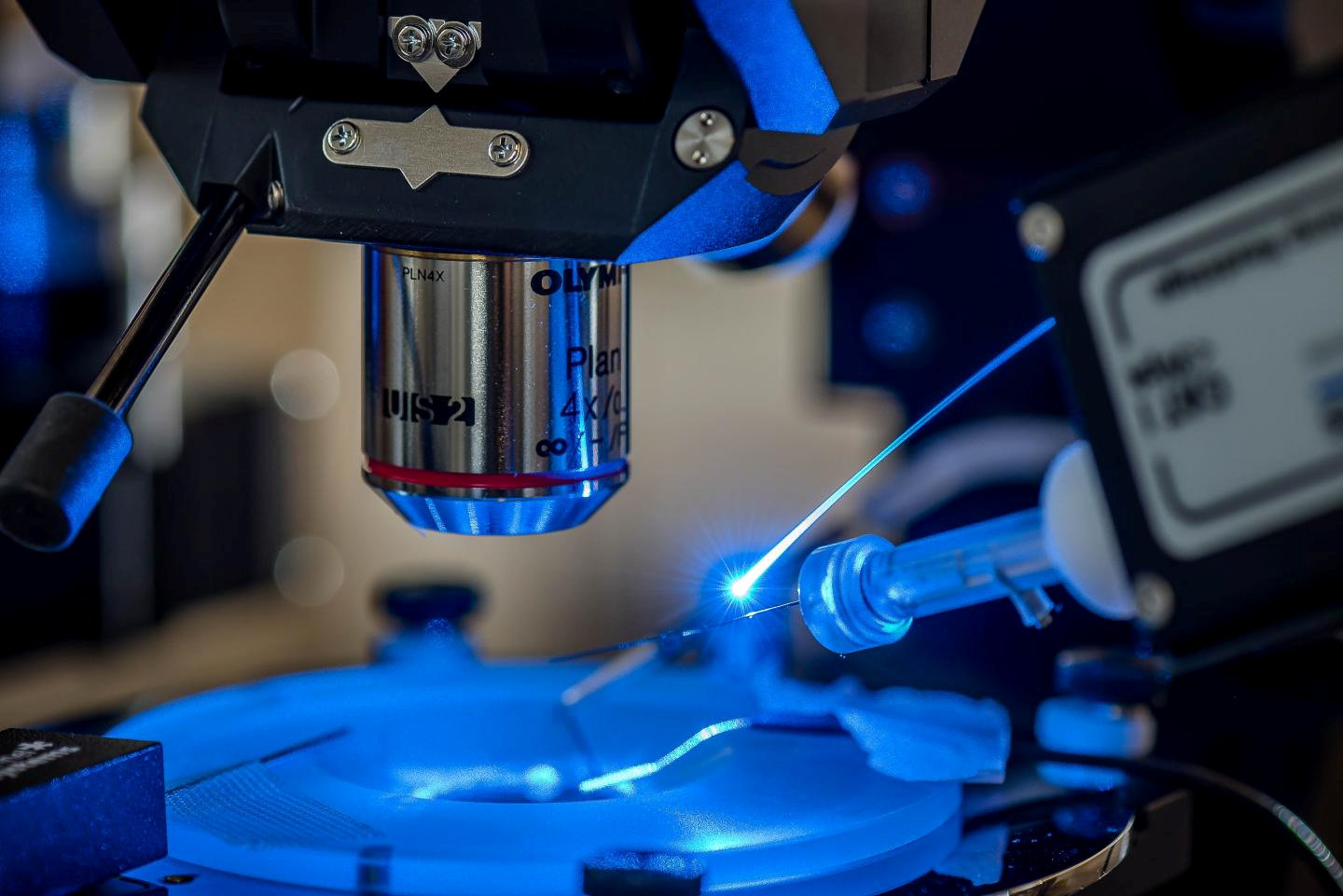 Optogenetica a câștigat Premiul Nobel pentru Medicină în 2026: Cum funcționează această metodă revoluționară