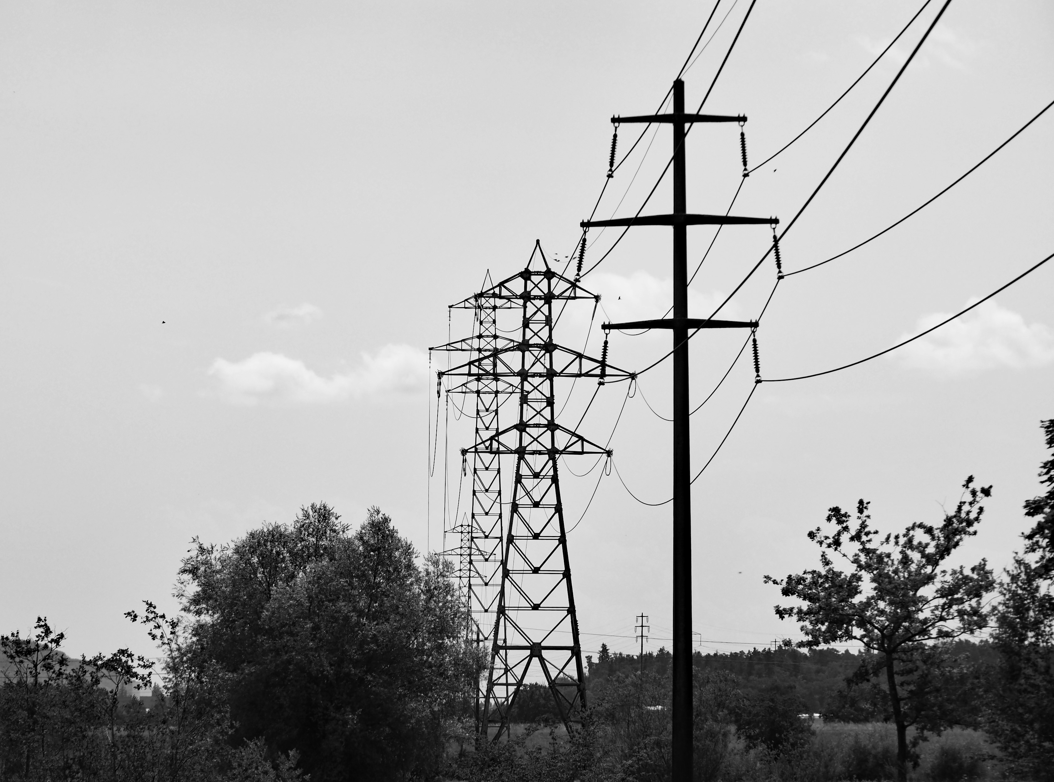 Ambițiile europene în domeniul inteligenței artificiale sunt limitate de infrastructura rețelelor electrice