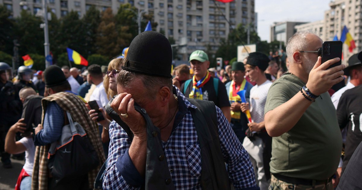 Ciobanii au depus 16 revendicări la Guvern: oprirea uciderii oilor și redeschiderea exporturilor