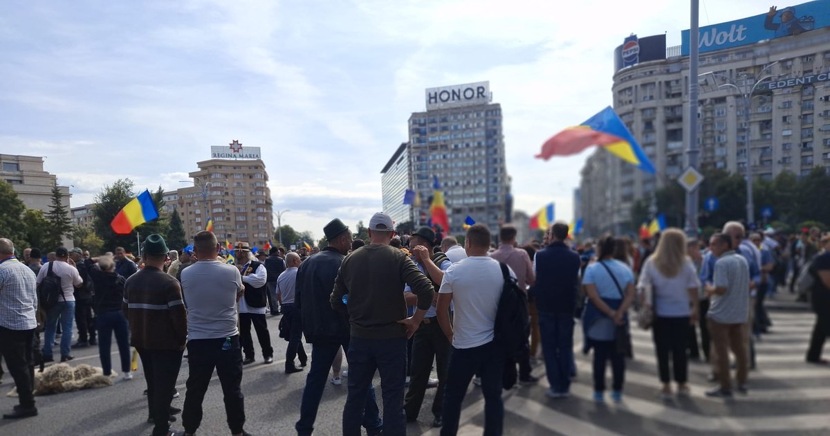 Mesaj dur al vicepremierului Oana Gheorghiu după violențele din Piața Victoriei