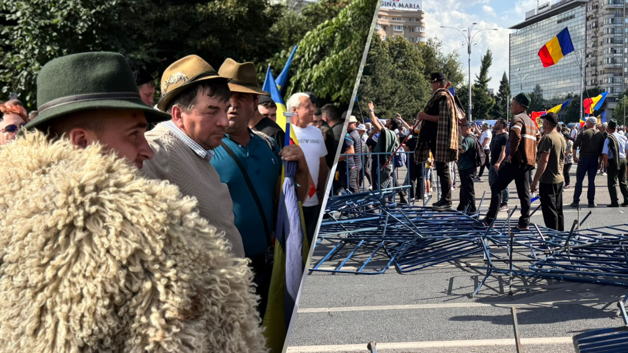 Ciobanii au depus 16 revendicări la Guvern. Ce solicită crescătorii de ovine pentru deblocarea exporturilor