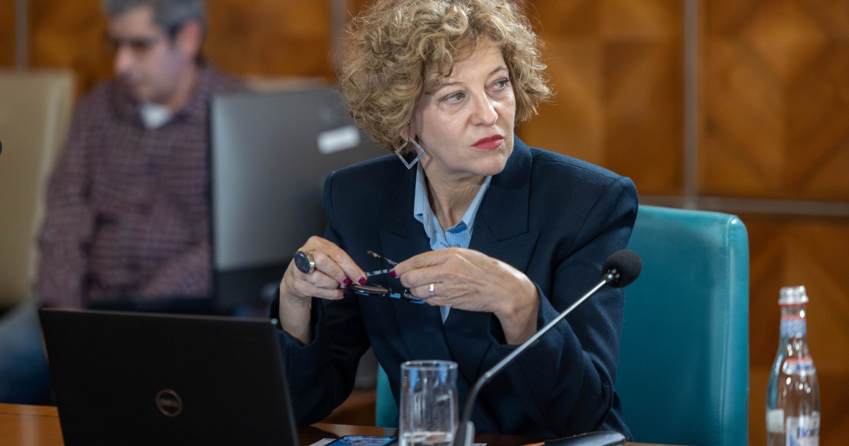 Oana Gheorghiu: PNL va analiza programul și echipa lui Luca Niculescu înainte de votul de învestitură