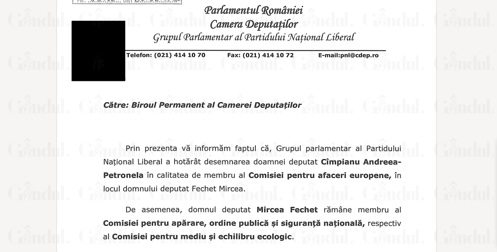 Schimbări în comisii parlamentare: Andreea Cîmpianu înlocuiește pe Mircea Fechet în cadrul PNL
