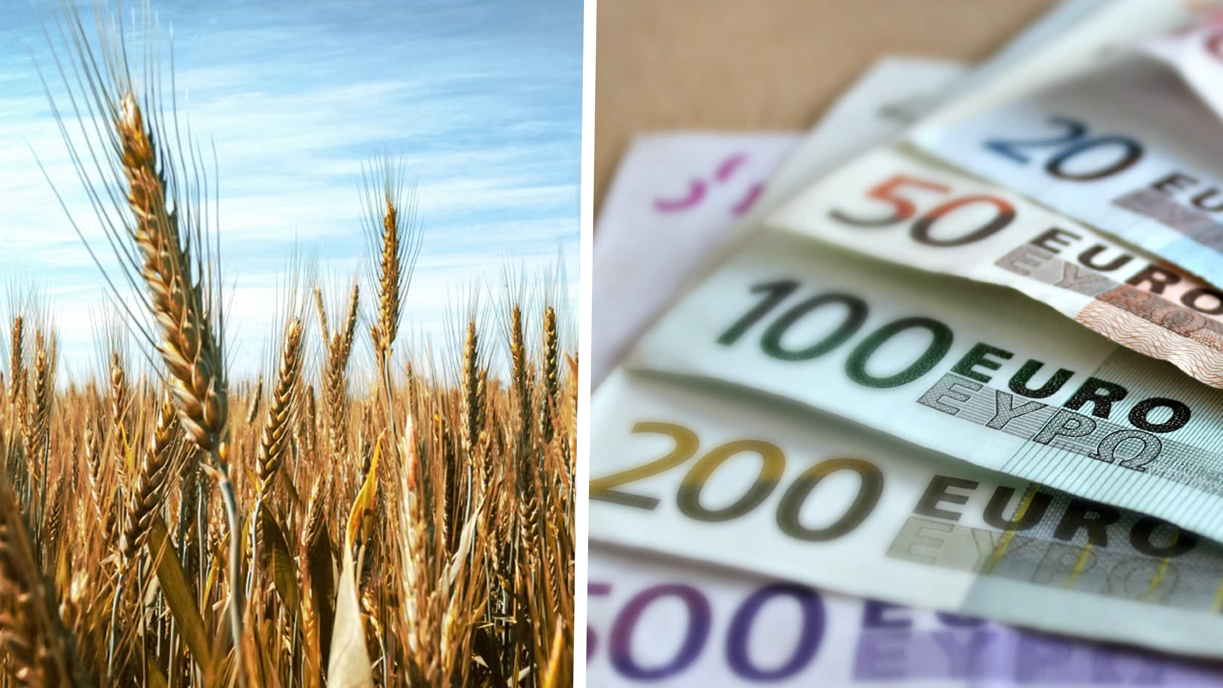 Au început depunerile pentru fondurile europene destinate tinerilor fermieri prin linia DR-12