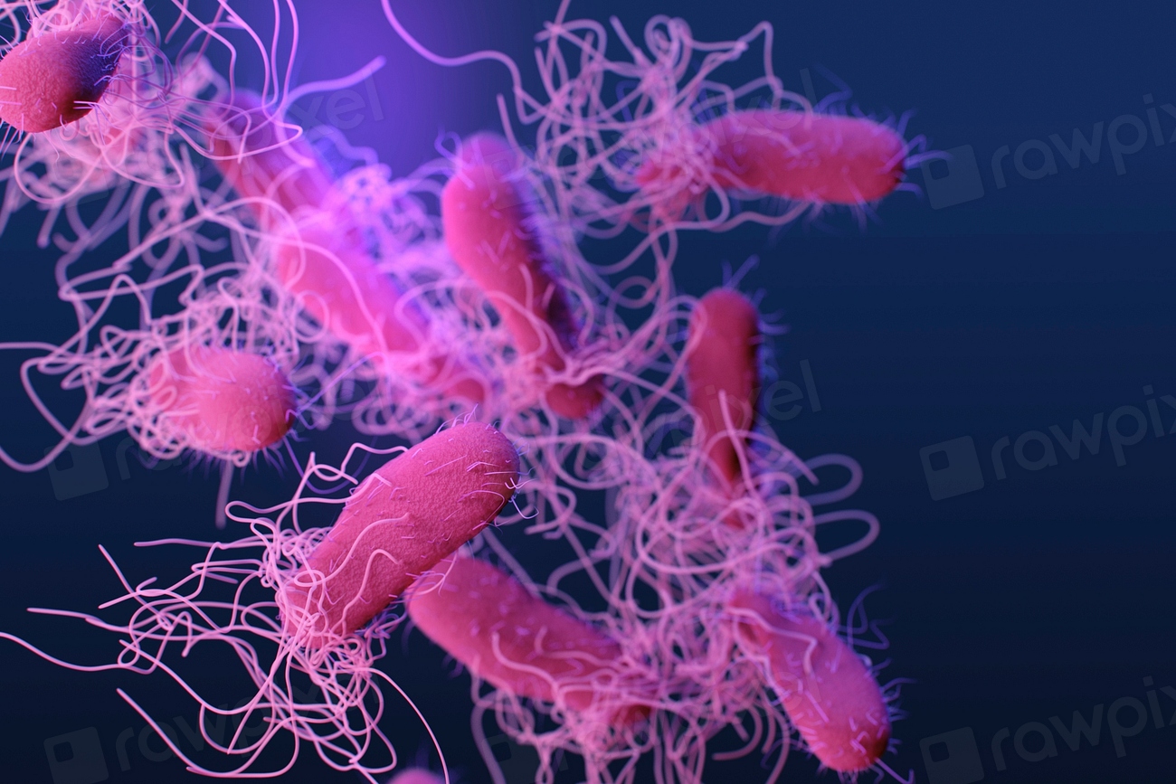 Bacterii din intestinul uman păstrează urmele migrațiilor strămoșilor de mii de ani