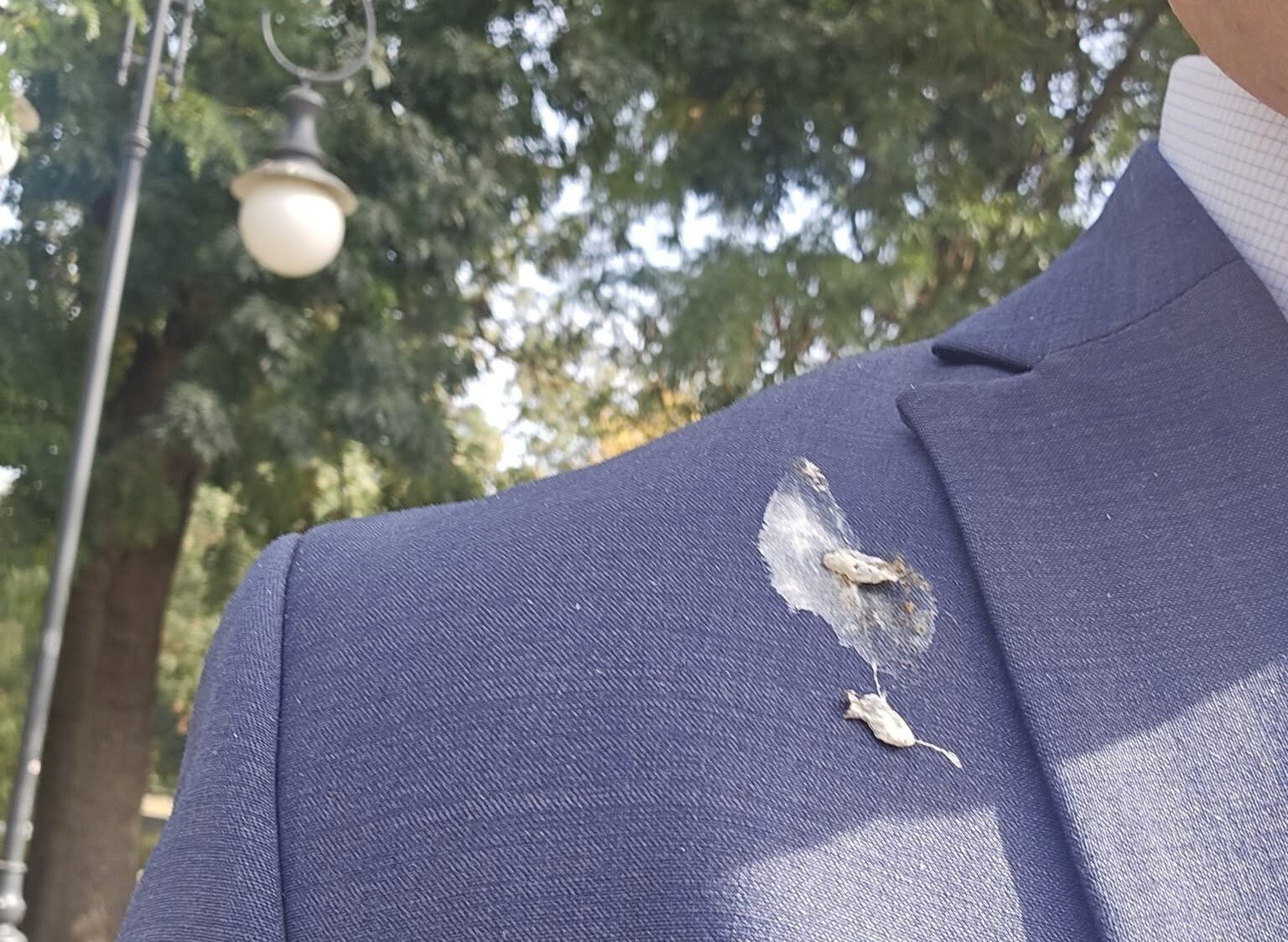 Csoma Botond face o analogie neobișnuită despre formarea guvernului după un incident neplăcut