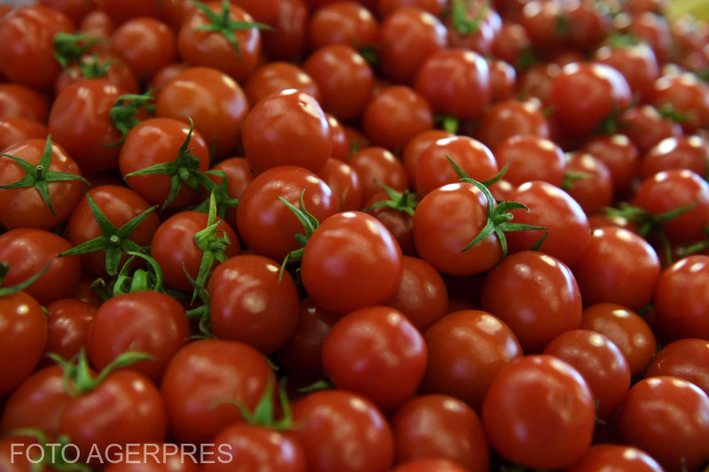 Consumul de pastă de tomate ar putea îmbunătăți funcționarea creierului, conform unui nou studiu