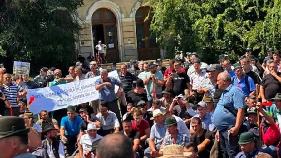 Amenințarea oierilor cu blocaje în Valea Oltului după ce au protestat la Guvern