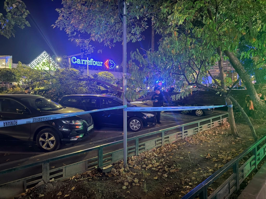 Incident în Sectorul 6: Un plop a căzut peste mașini și un scuter, rănind o persoană