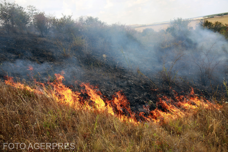 Intervenție masivă în Parcul Național Domogled-Valea Cernei pentru stingerea incendiilor