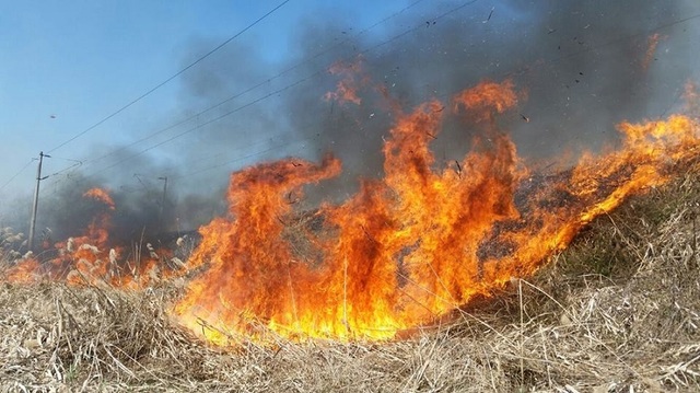 IGSU semnalează numărul alarmant de incendii de vegetație: peste 10.000 de intervenții în opt luni