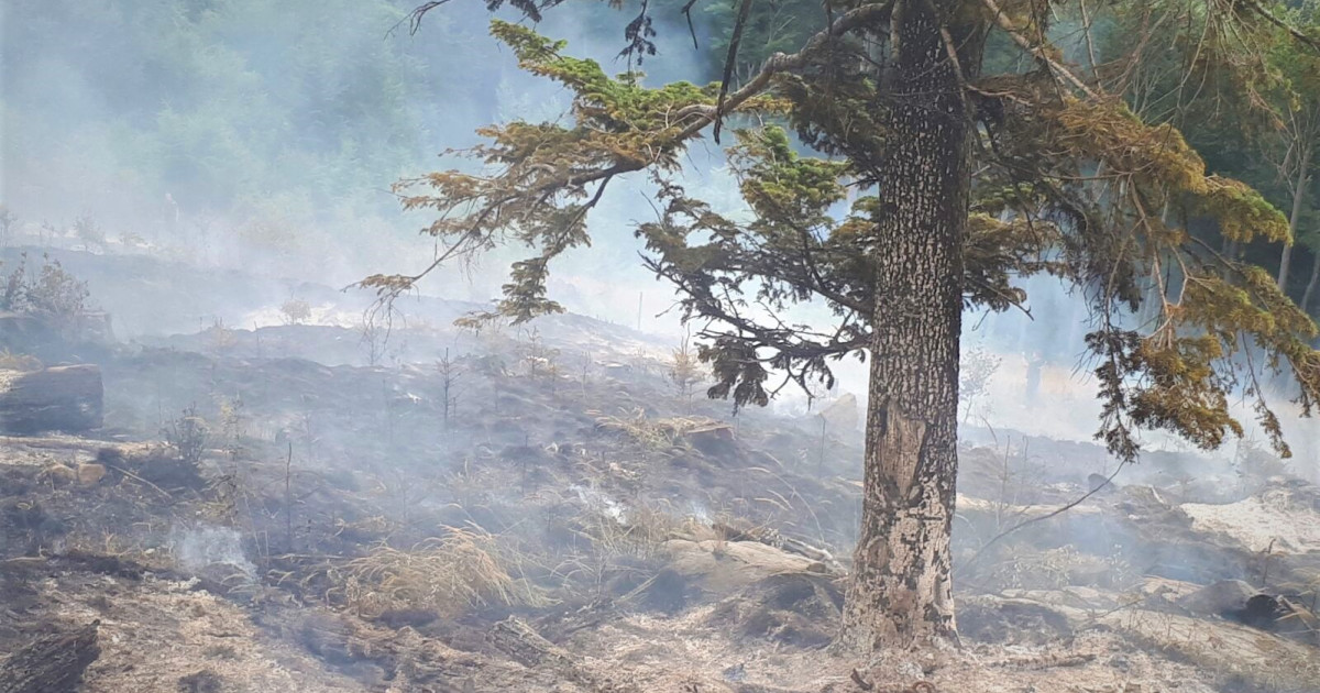 Numărul incendiilor de vegetație a scăzut în primele opt luni ale anului, dar numărul de intervenții rămâne ridicat