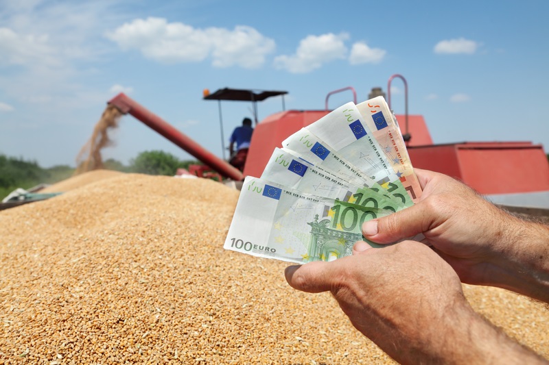 APIA stabilește calendarul pentru plata avansurilor subvențiilor europene în anul 2026