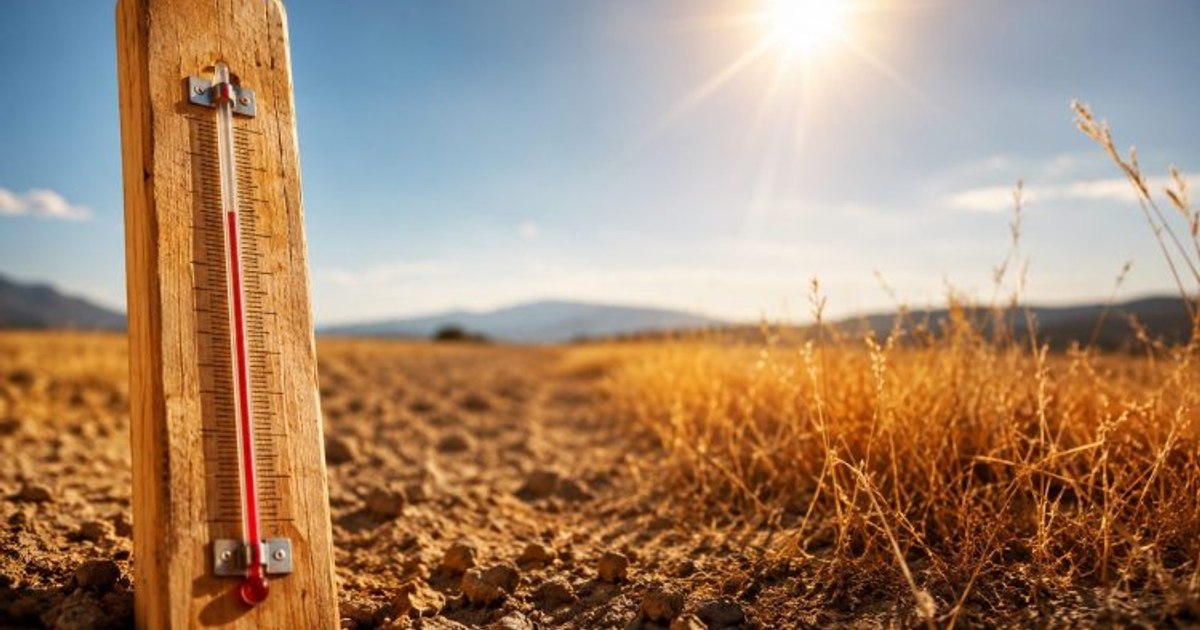 August 2026 a fost cea mai caldă lună din istorie, cu temperaturi de 1,65°C peste nivelul preindustrial