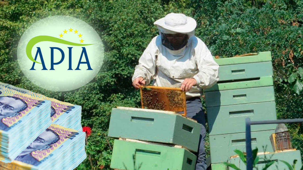 APIA a plătit peste 51 de milioane de lei către apicultori pentru diverse intervenții