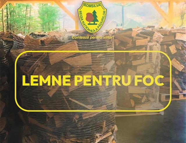 Romsilva va pune la dispoziție 2 milioane de metri cubi de lemn pentru foc în 2026
