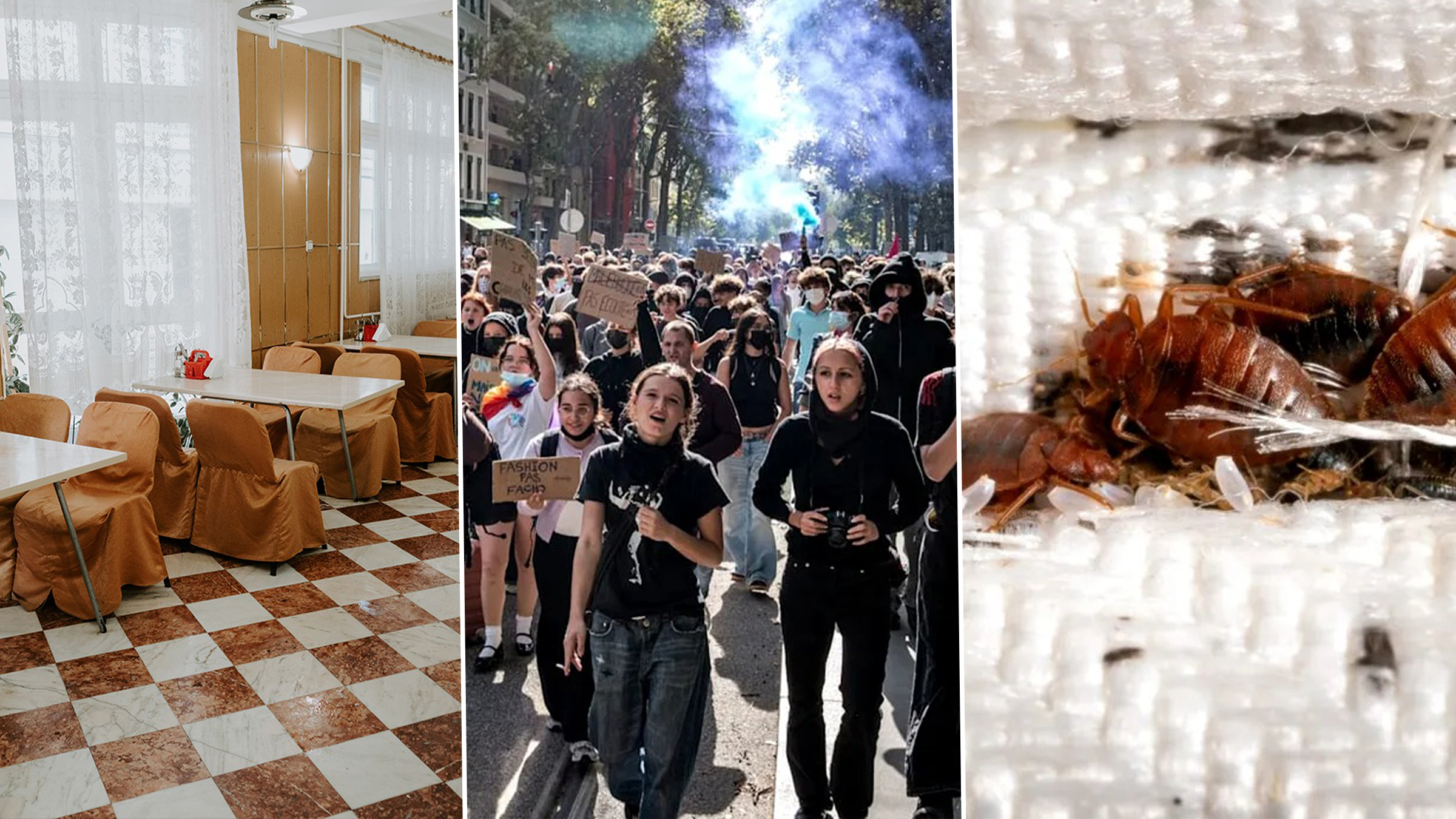 Probleme majore la începutul anului universitar: insecte la ASE și lipsă de mâncare la Iași